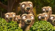7 Bears | Image via YouTube/Netflix Jr.